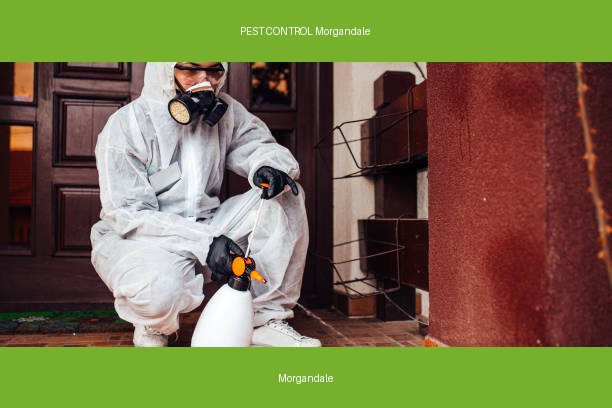 PEST CONTROL Morgandale